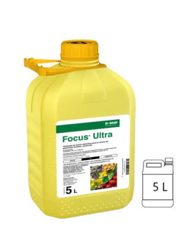 Herbicida Focus Ultra
